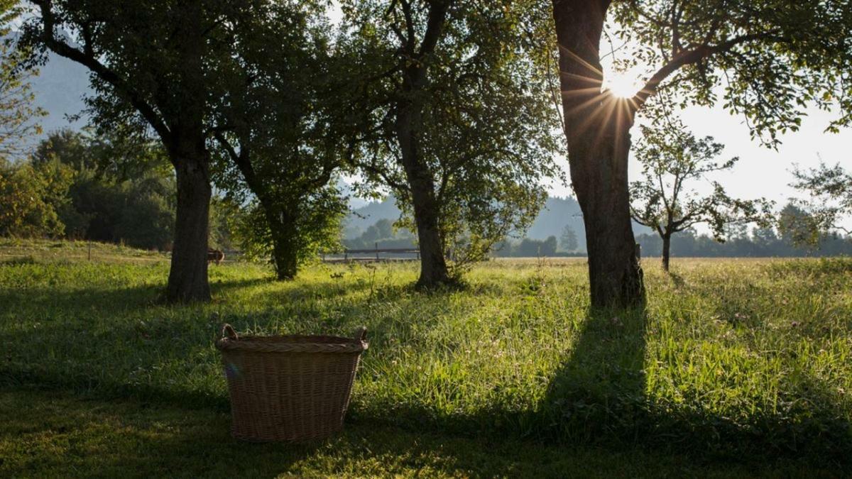 Bauernhof Lindenhof Bed & Breakfast Scheffau am Wilden Kaiser Exterior foto